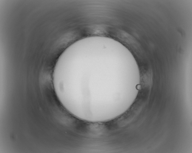 X0000115600415200911100956