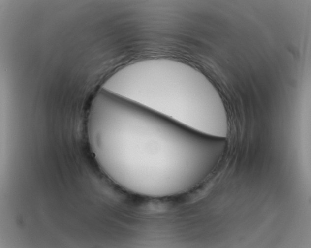 X0000115600416200911100956