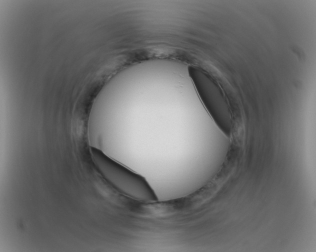 X0000115600417200911100956
