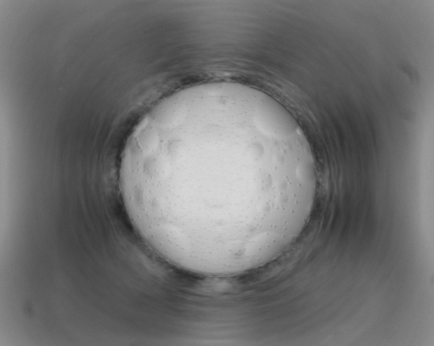 X0000115600418200911100956