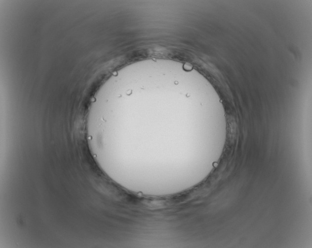 X0000115600419200911100956
