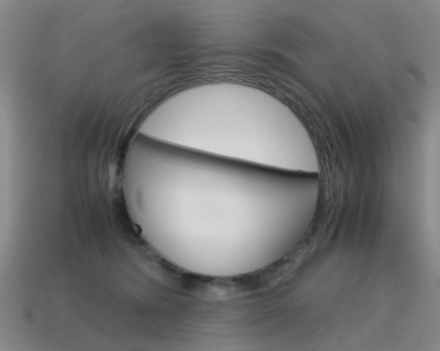 X0000115600420200911100956