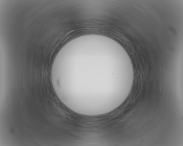 X0000115600421200911100956