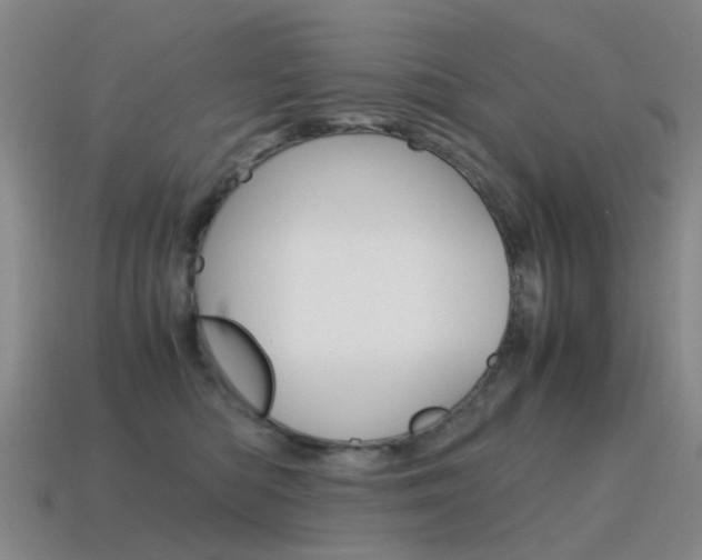 X0000115600422200911100956
