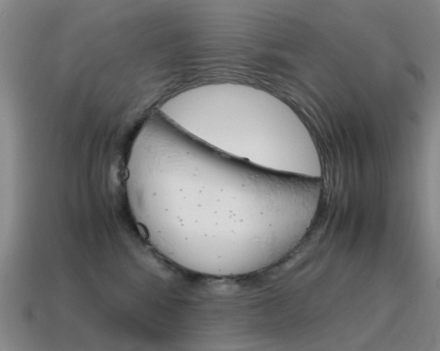 X0000115600424200911100956
