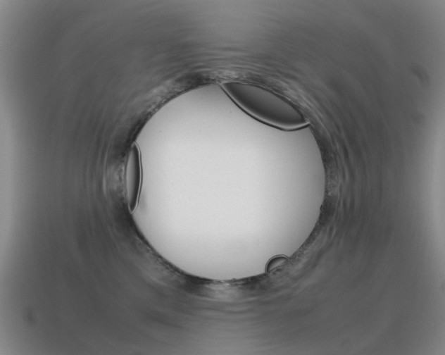 X0000115600425200911100956