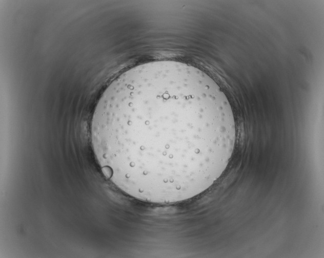 X0000115600426200911100956