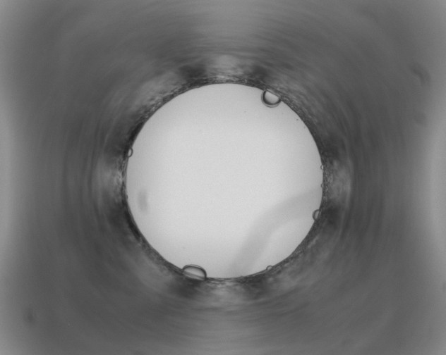 X0000115600427200911100956