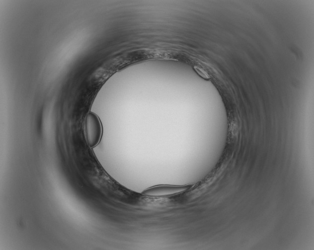 X0000115600429200911100956