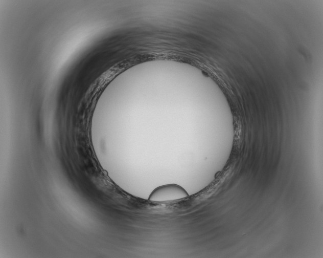 X0000115600430200911100956