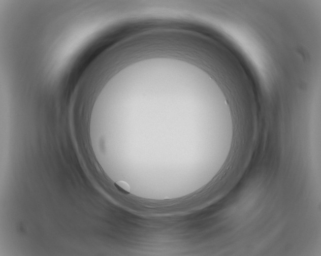 X0000115600431200911100956