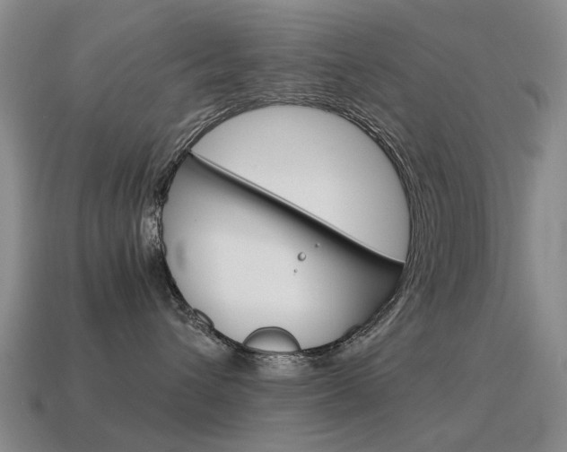 X0000115600432200911100956