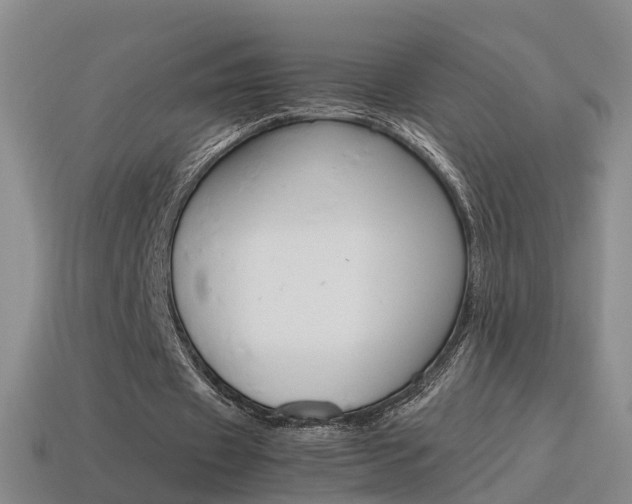 X0000115600433200911100955