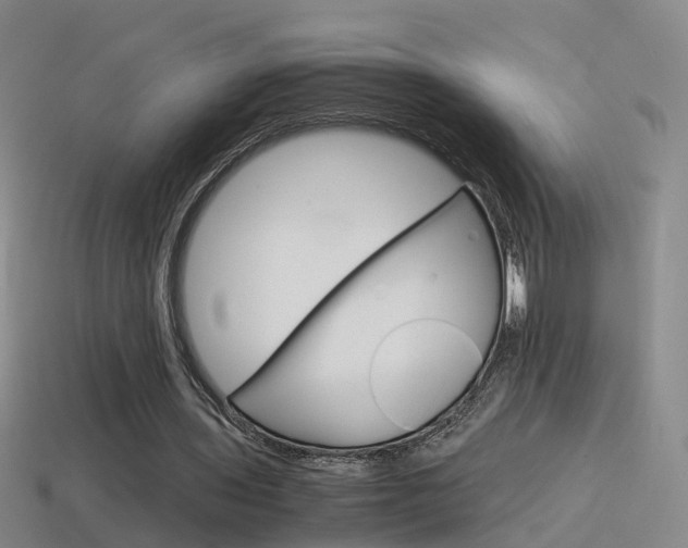 X0000115600435200911100955