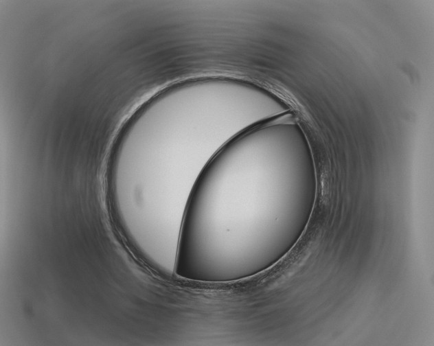 X0000115600436200911100955
