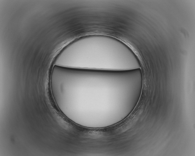 X0000115600437200911100955