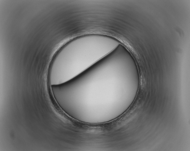 X0000115600438200911100955