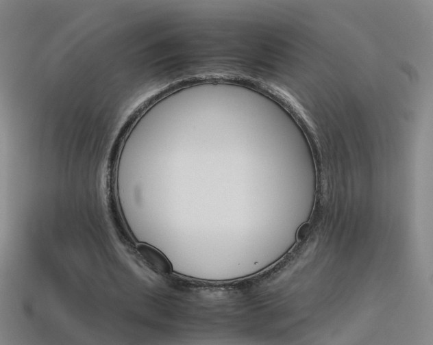 X0000115600439200911100955