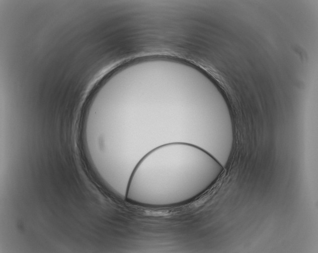 X0000115600440200911100955