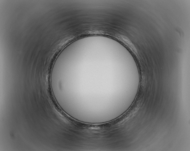 X0000115600441200911100955