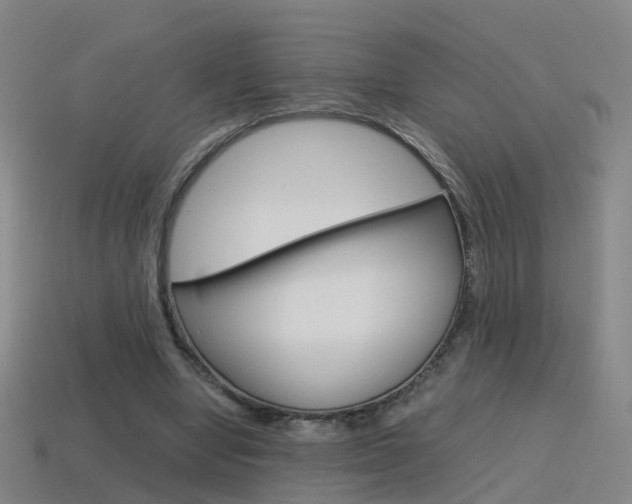 X0000115600442200911100955