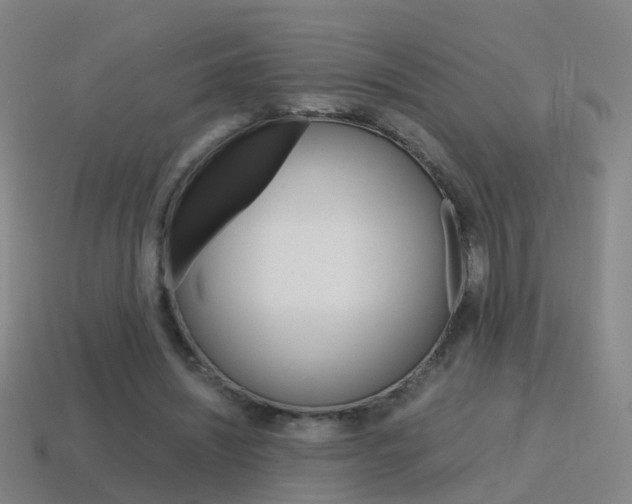 X0000115600444200911100955