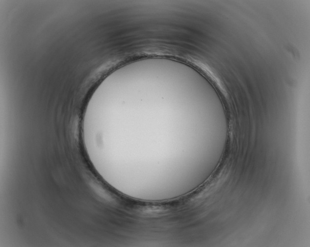 X0000115600445200911100955