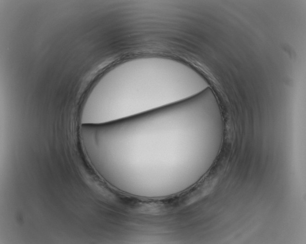 X0000115600446200911100955