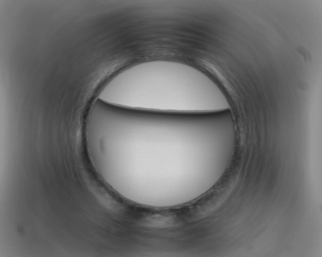 X0000115600447200911100955