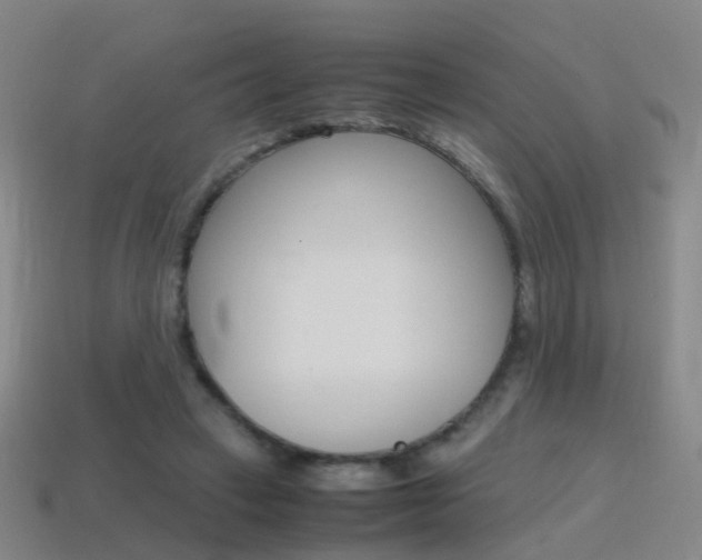 X0000115600449200911100955