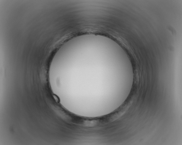 X0000115600450200911100955