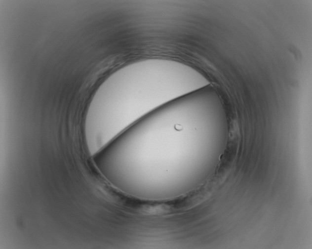 X0000115600452200911100955