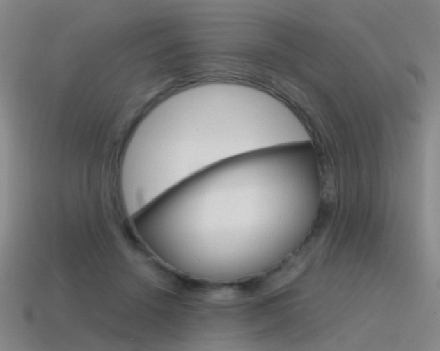X0000115600456200911100955