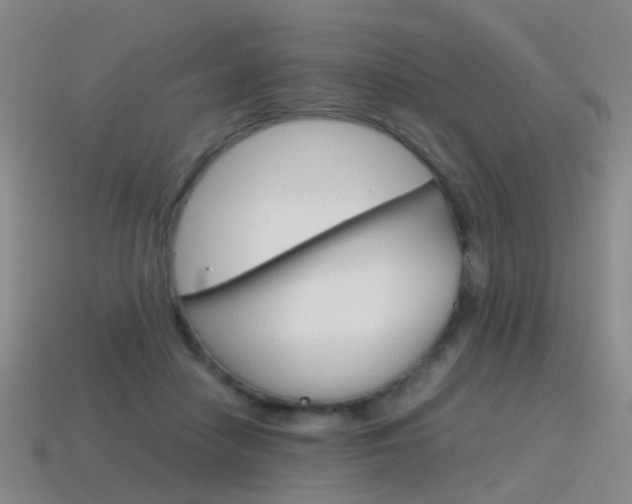 X0000115600458200911100955