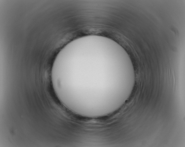 X0000115600460200911100955