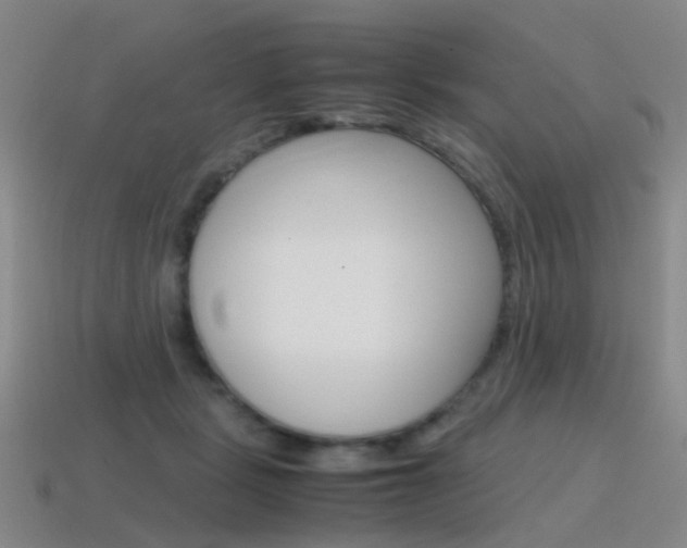 X0000115600461200911100955