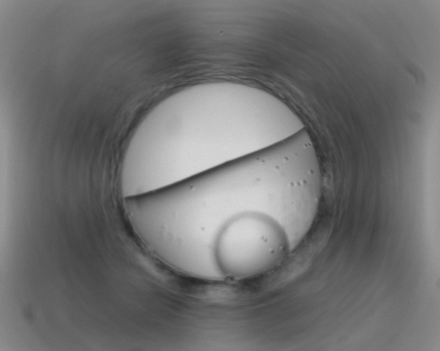X0000115600462200911100955