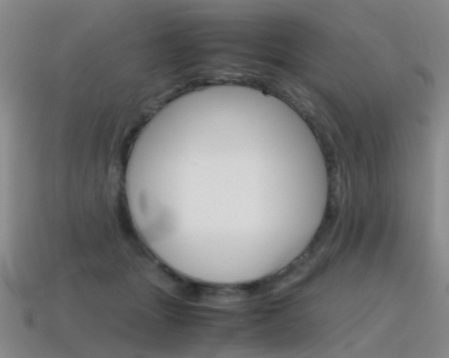 X0000115600463200911100955