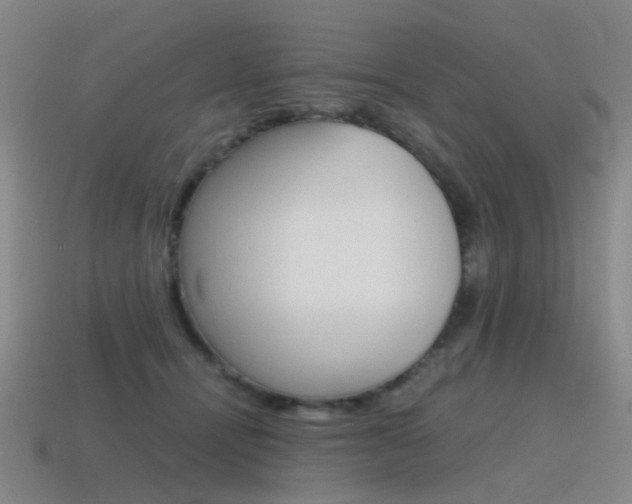 X0000115600464200911100955