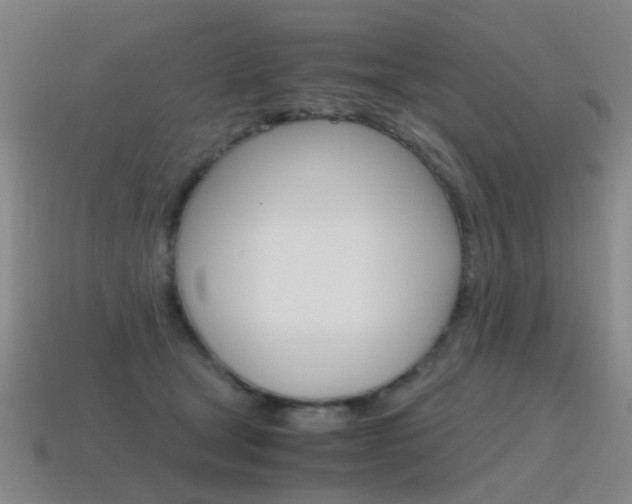 X0000115600465200911100955