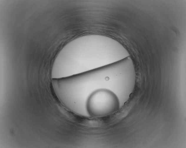 X0000115600466200911100955