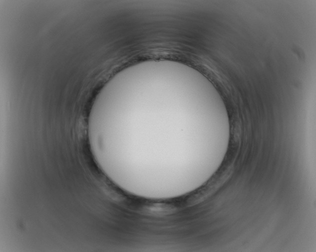 X0000115600467200911100955
