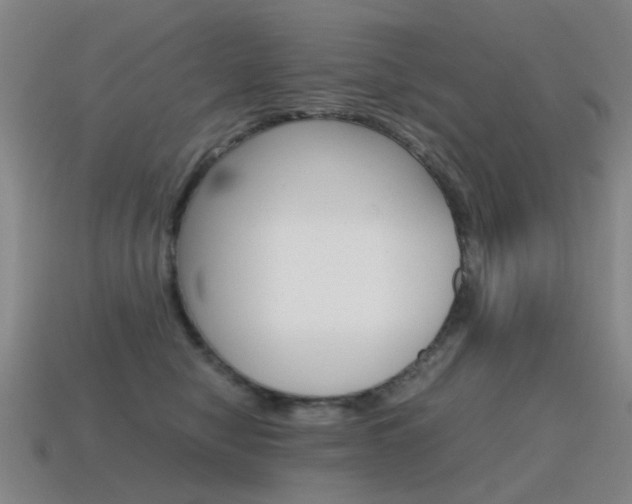 X0000115600470200911100956
