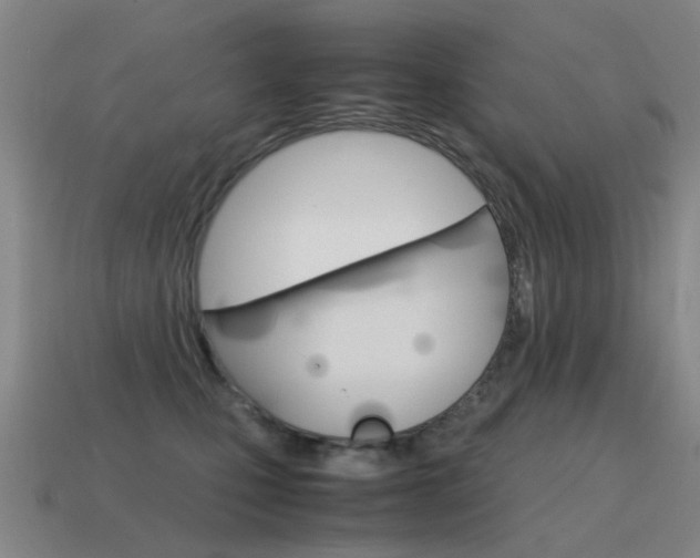X0000115600471200911100956