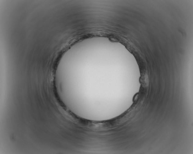 X0000115600472200911100956