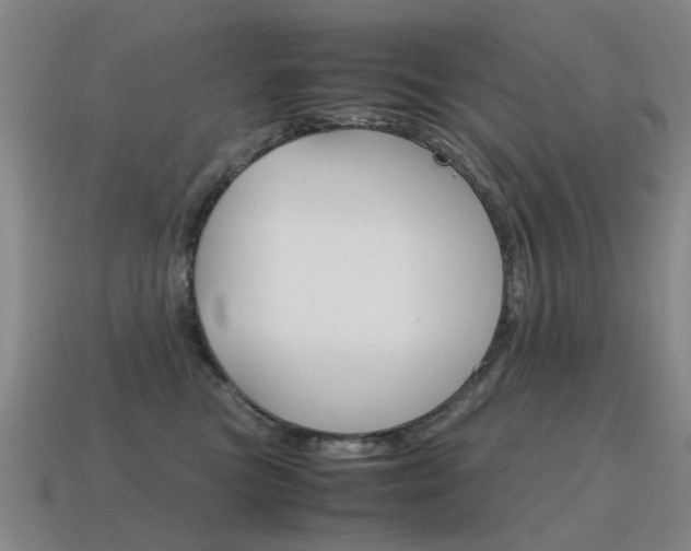 X0000115600473200911100956
