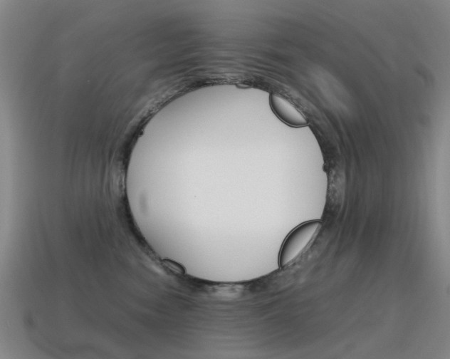X0000115600474200911100956