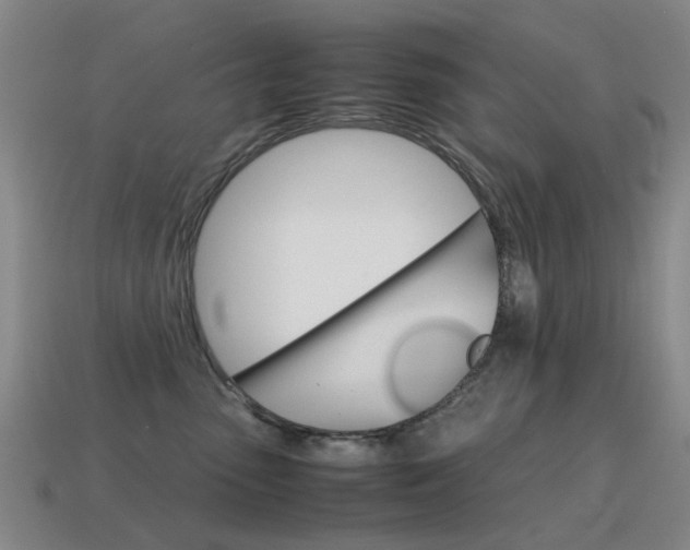 X0000115600475200911100956