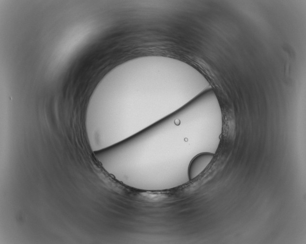 X0000115600477200911100956