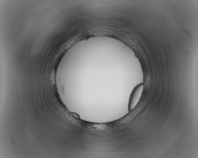 X0000115600478200911100956